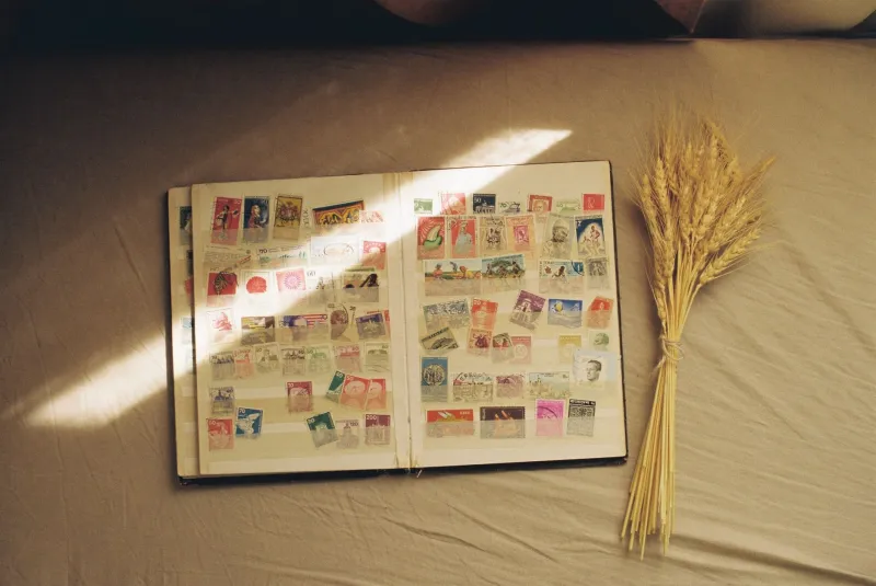 Cut, Paste, Remember: How Scrapbooking Became the Collector's Most Intimate Archive